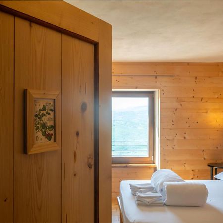 Le Spine B&B Sulla Via Francigena ベルチェート エクステリア 写真