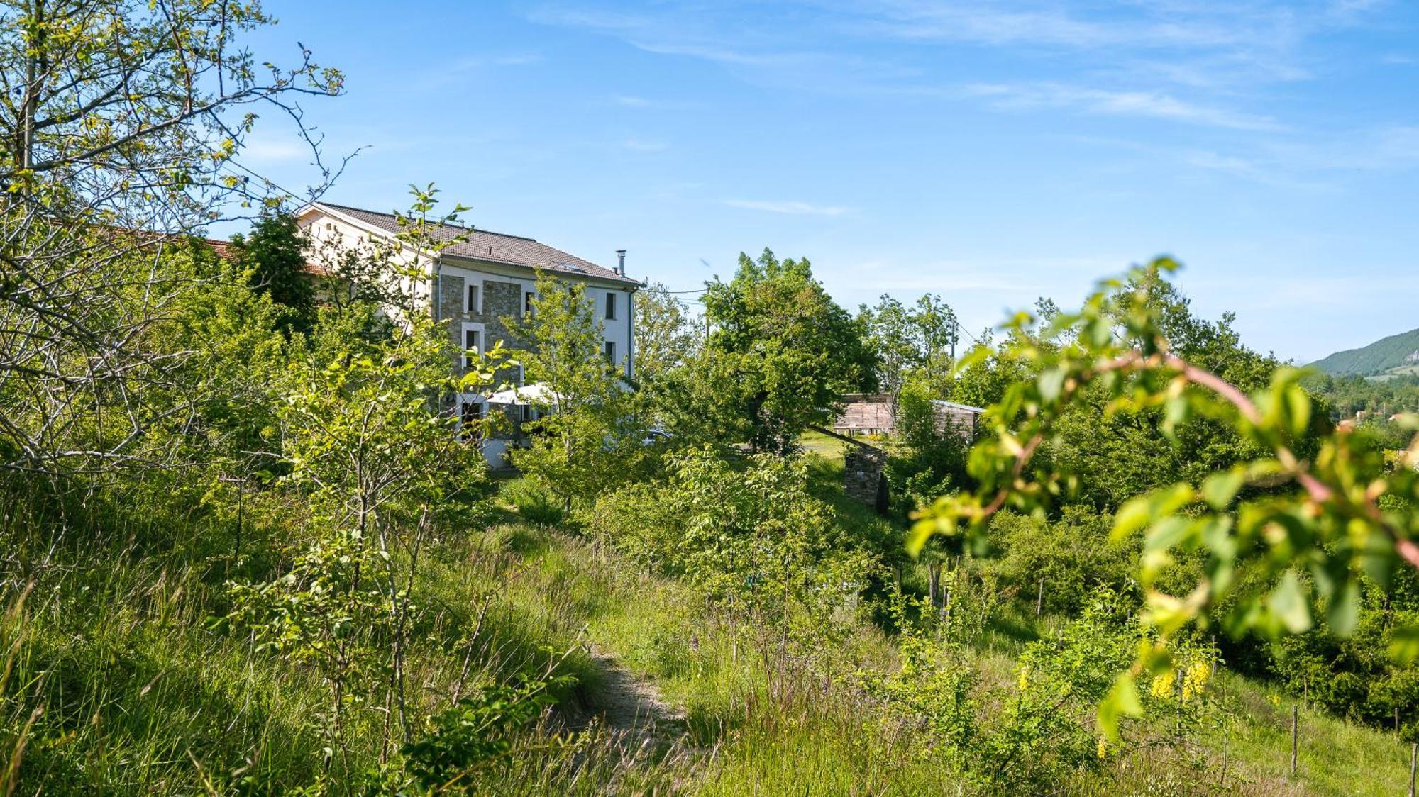 Le Spine B&B Sulla Via Francigena ベルチェート エクステリア 写真