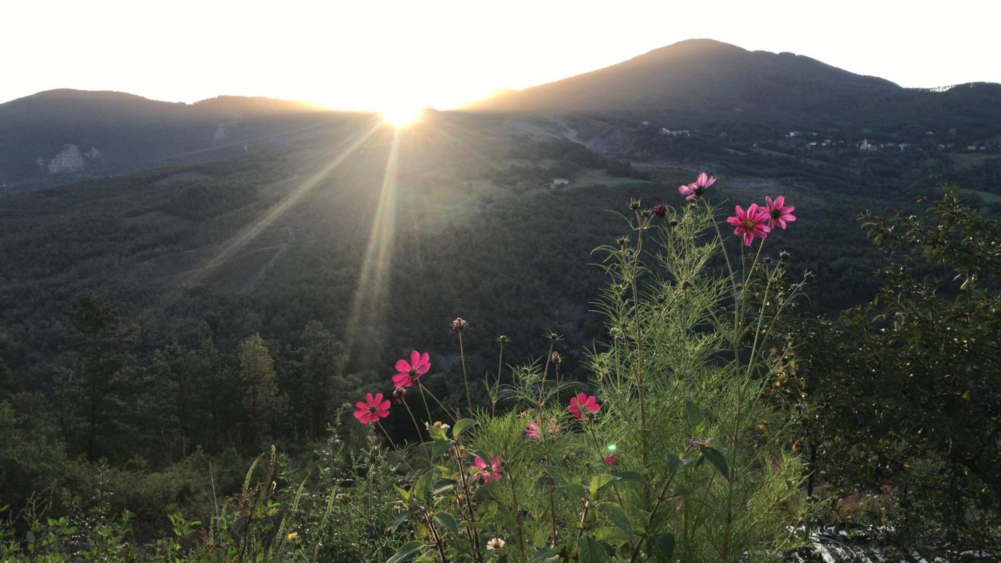 Le Spine B&B Sulla Via Francigena ベルチェート エクステリア 写真